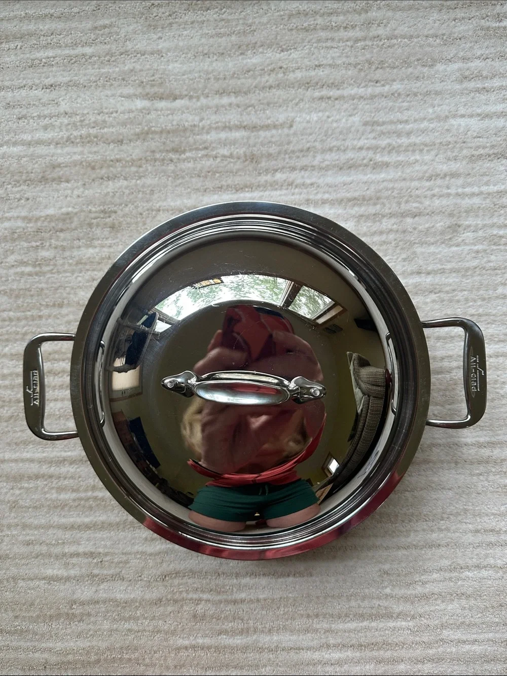 All-Clad Brushed Stainless Steel 5.5-Qt Dutch Oven with Dome Lid Stock Pot